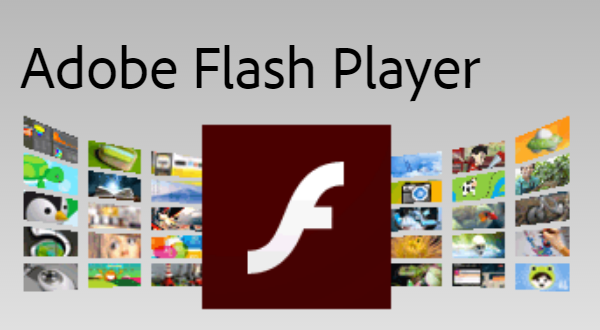 Adobe Flash Player Screen 2