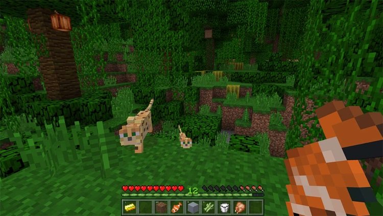 Minecraft Screenshot 1