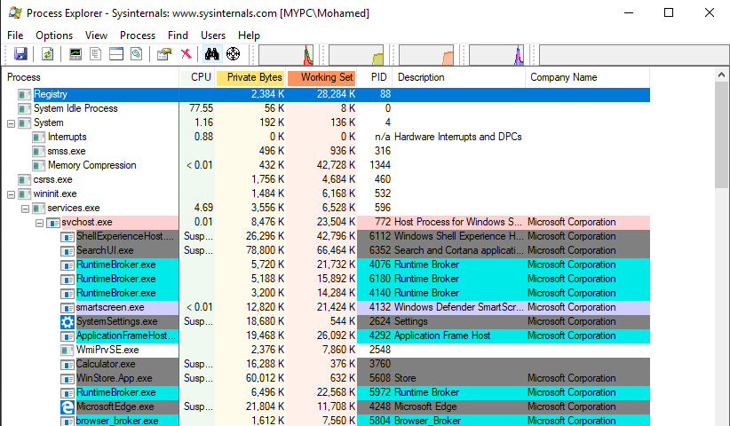 Microsoft Process Explorer Screenshot 1