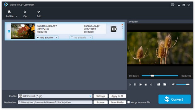 Free Video to GIF Converter - Download & Review