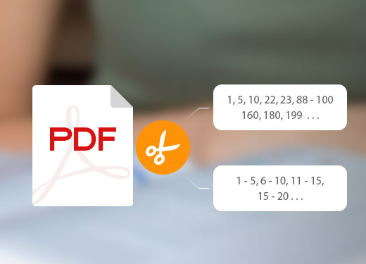 Aiseesoft PDF Splitter Review