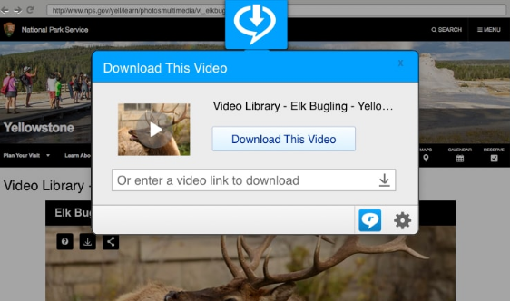 download online videos with realplayer video downloader
