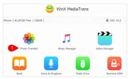 WinX MediaTrans Screenshot for Windows11