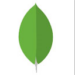 MongoDB Icon 75 pixel