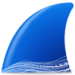 Wireshark for Windows 11