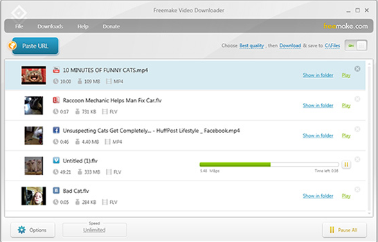 Freemake Video Downloader Screenshot for Windows11