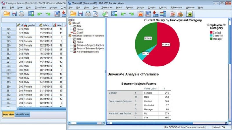 IBM SPSS Statistics Screenshot 1