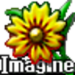 Imagine for Windows 11