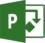 Microsoft Project Professional for Windows 11