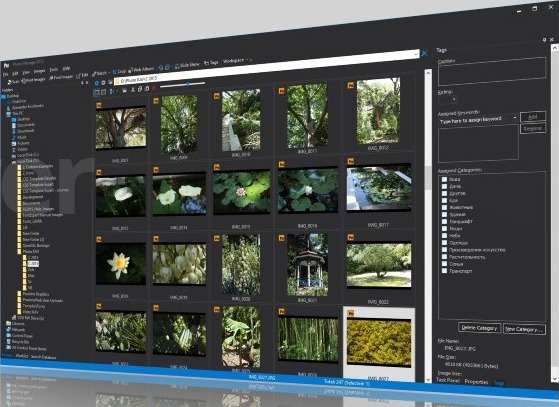 Proxima Photo Manager Screenshot