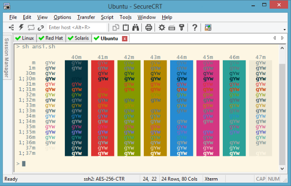 SecureCRT Screenshot for Windows11