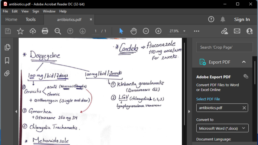 Adobe PDF Reader Screenshot 2